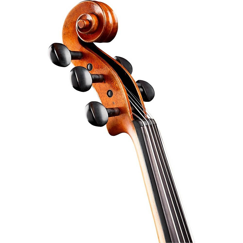 Bellafina Violina 5-string Violin Outfit 14 in.