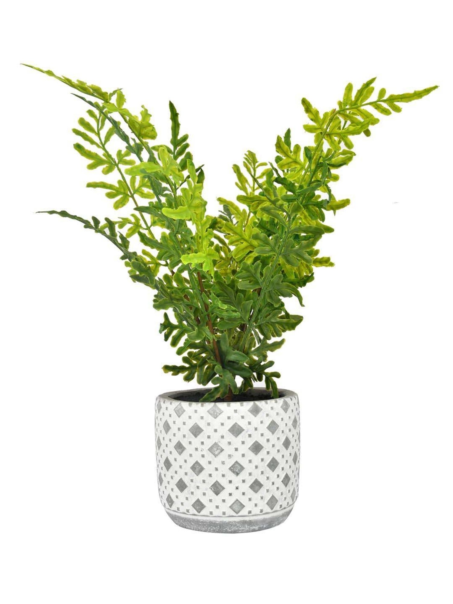 Tayhaa Grey & Green Ceramic Diamon Patterned Pot With Artificial Fern
