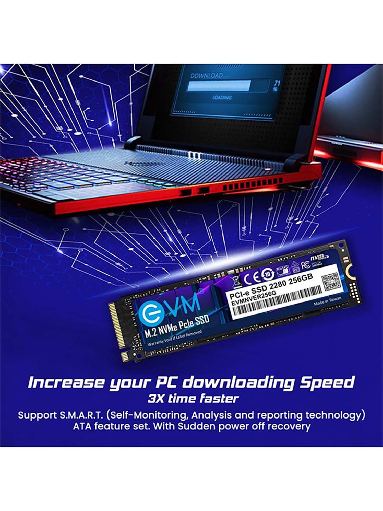 EVM EVMNV 256GB M.2 PCIe NVMe Internal SSD (Black)