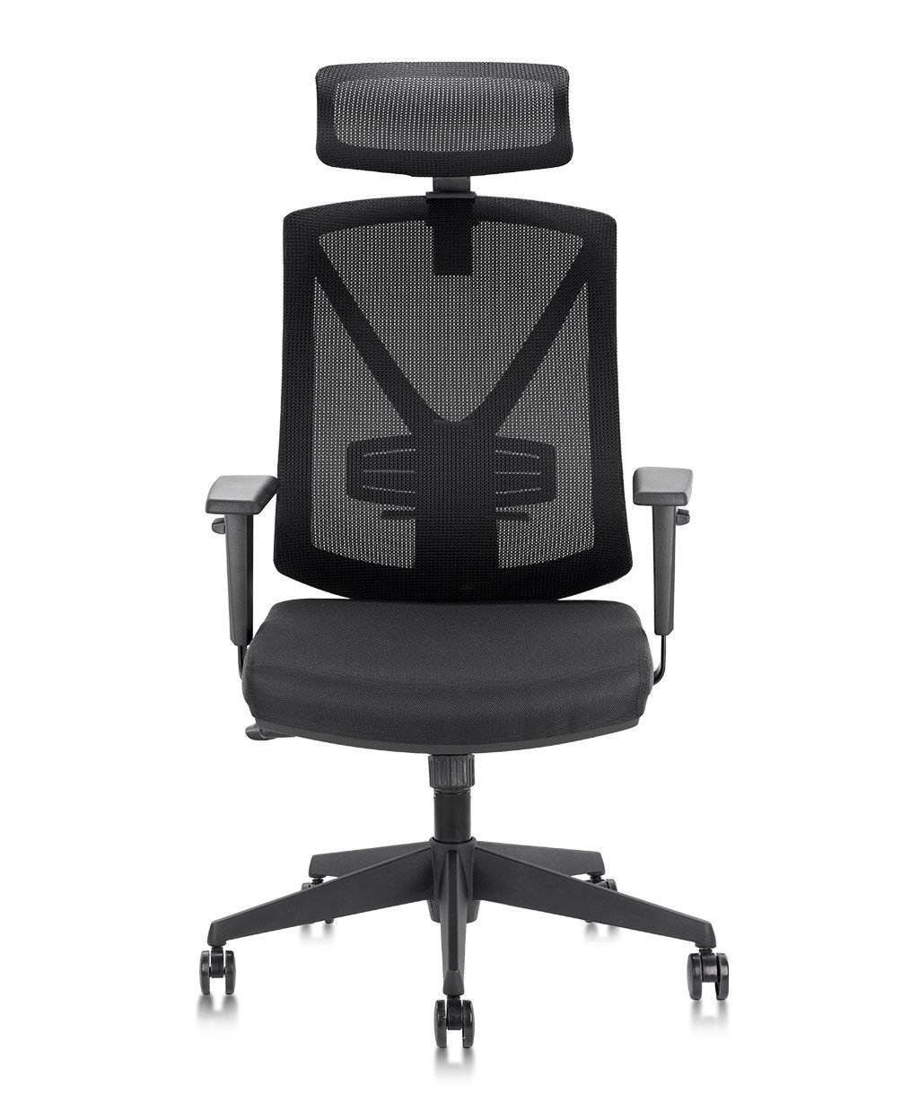 COLAMY Tito-Pro Ergonomic Mesh Desk Chair With Headrest