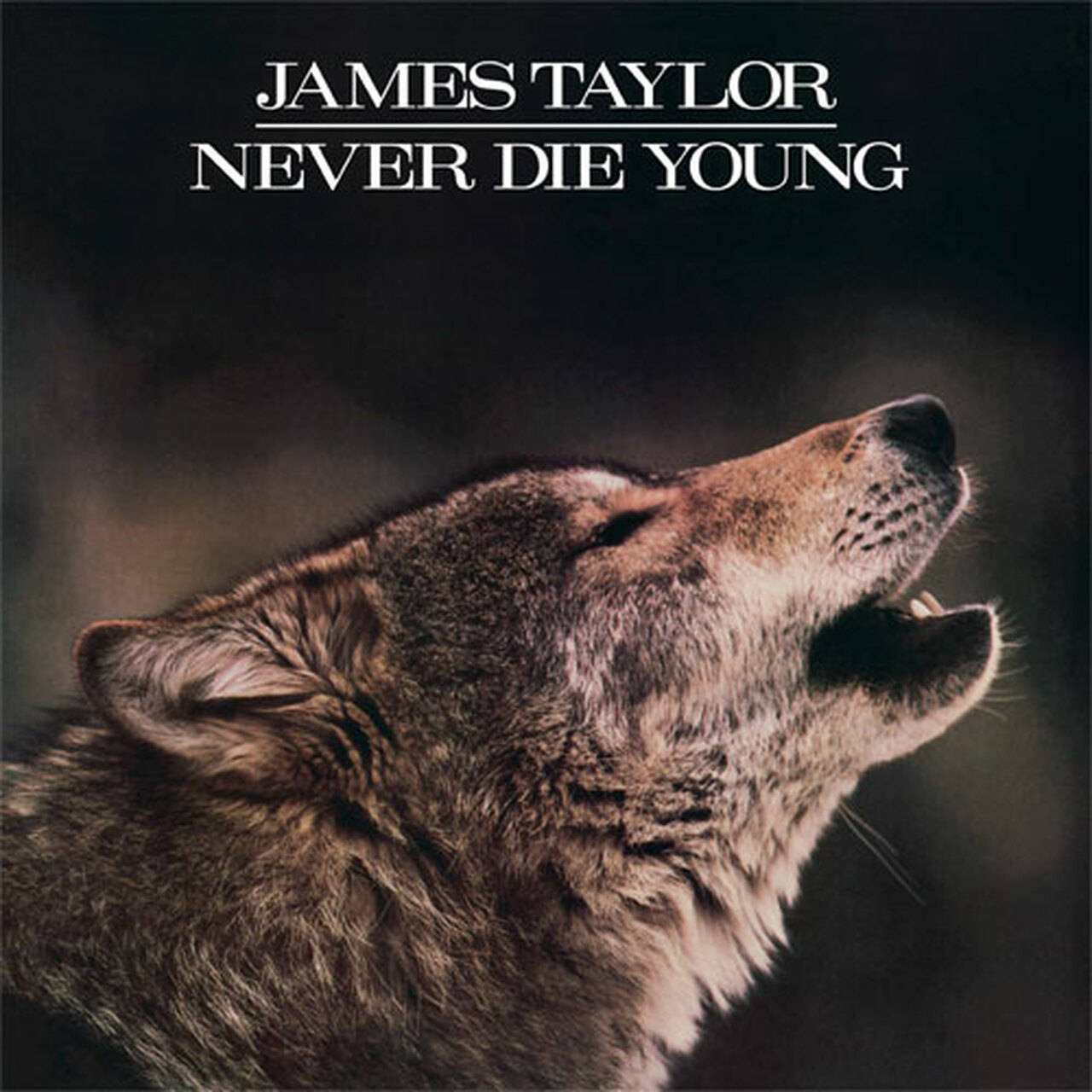 James Taylor Never Die Young 180g LP (Vinyl)
