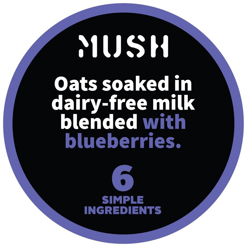 MUSH Blueberry Ready-to-Eat Oats - 5oz