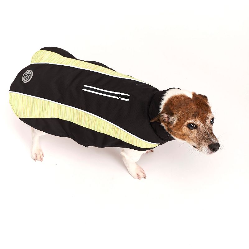 Royal Animals Spacedye Dog Jacket - Yellow - L