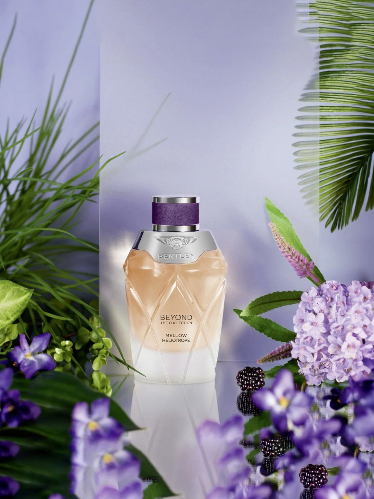 Bentley Beyond The Collection Mellow Heliotrope Eau de Parfum for Women - 100 ml