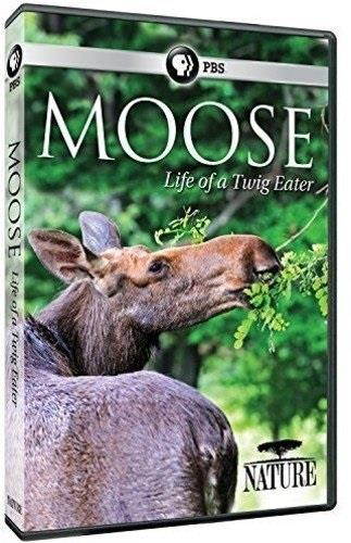 PBS NATURE-MOOSE-LIFE OF A TWIG EATER (DVD) DNAT63310D