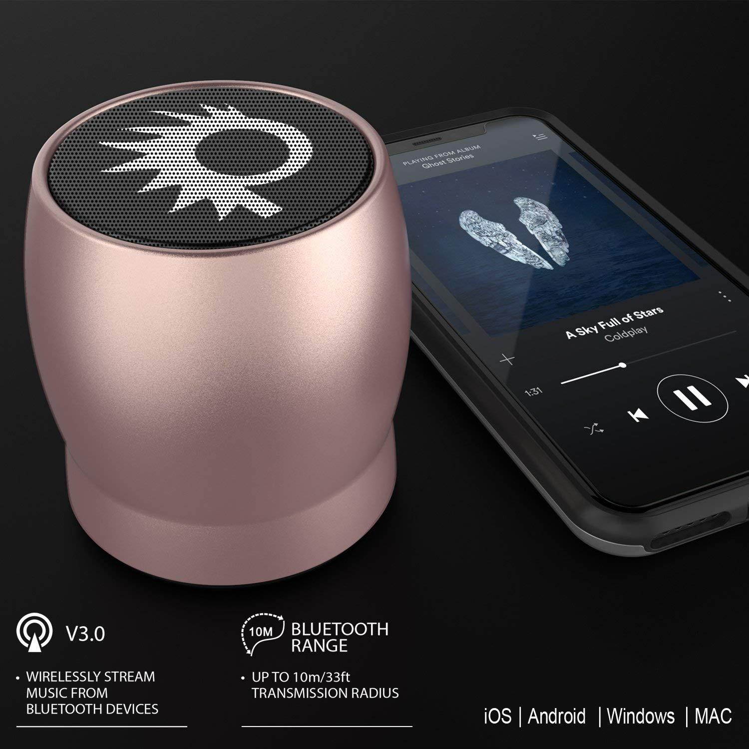 Portable Wireless Bluetooth Speaker, Powerful HD Speakers W/Enhanced Bass TF/SD Card Slot/AUX Input, Rechargeable Hands Free Speakerphone W/Mic Compatible W/iPhone/Android - Punkcase Rocker[Rose]