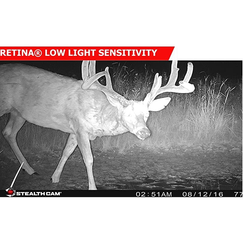 Security Camera WiFi IP Home CameraR2C 1080P HD Baby Monitor Wireless Pet Camera with AI Human Sound Detection Free Cloud Included 2Way AudioWorks with Alexa PanTilt Night Vision