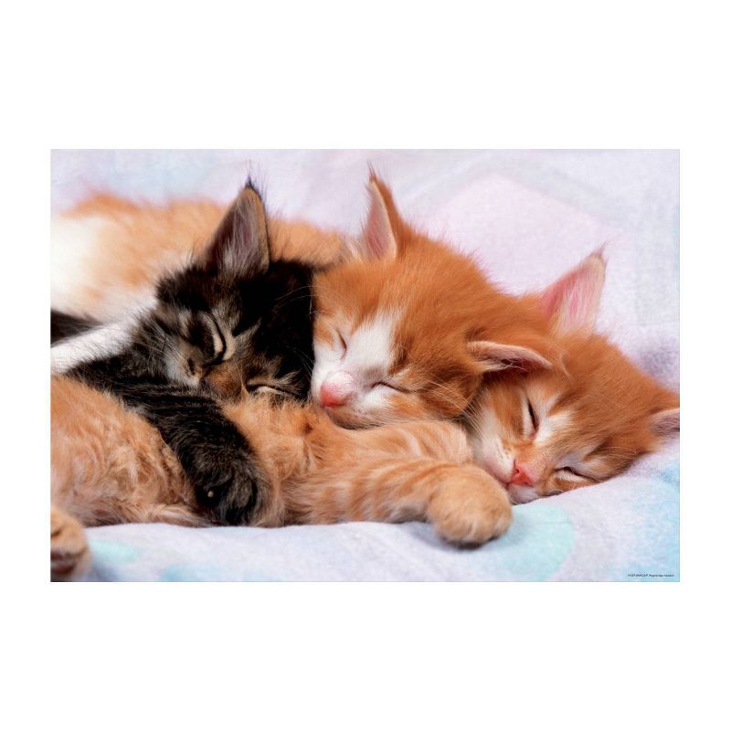Educa Kittens Jigsaw Puzzle - 500pc