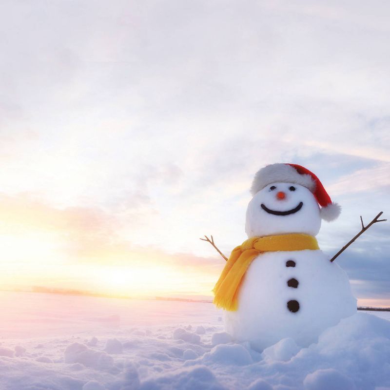 80pk Taffy Apples Letterhead