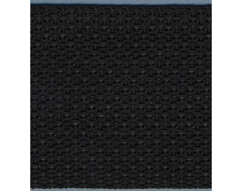 Simplicity Webbing 2"X10yd-Black