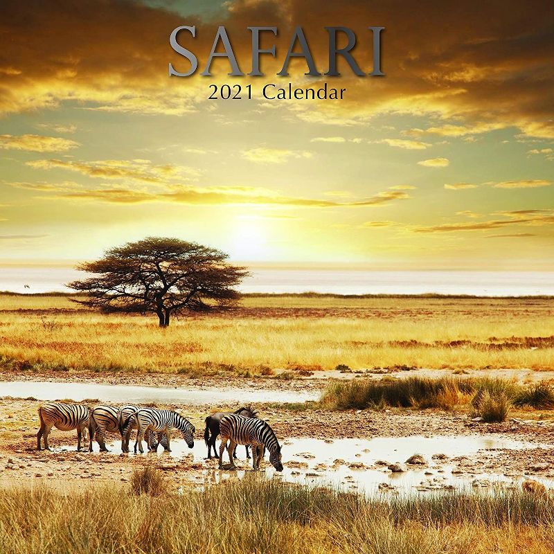The Gifted Stationery 2021 Wall Calendar 12" x 12" Monthly View, Safari Wildlife Travel, 16-Month, with 180 Reminder Stickers