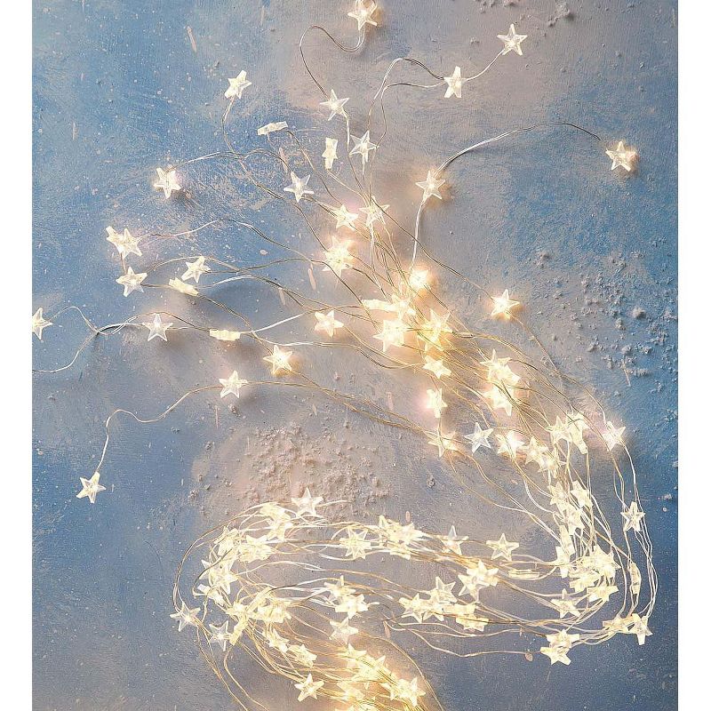 Plow & Hearth - Micro LED Bunch Star Lights, 640 Warm White LEDs on Bendable Wires