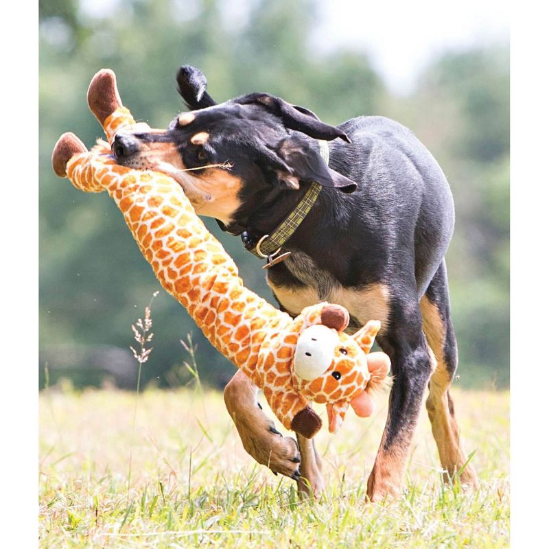 NCAA Virginia Tech Hokies Nylon Football Dog Toy