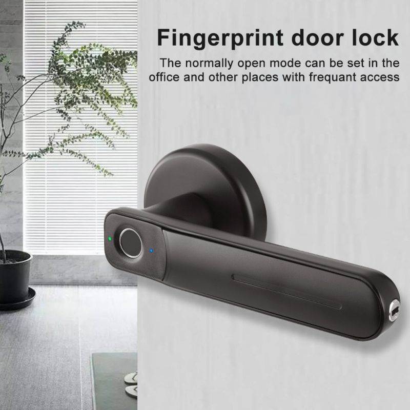 Smart Fingerprint Door Lock Biometric Apartment Electric Zinc Alloy With Keys (Grey)