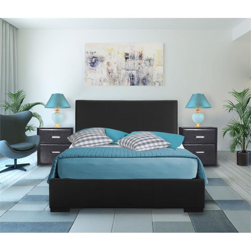 Black Queen Hindes Upholstered Platform Bed in Black - Camden Isle