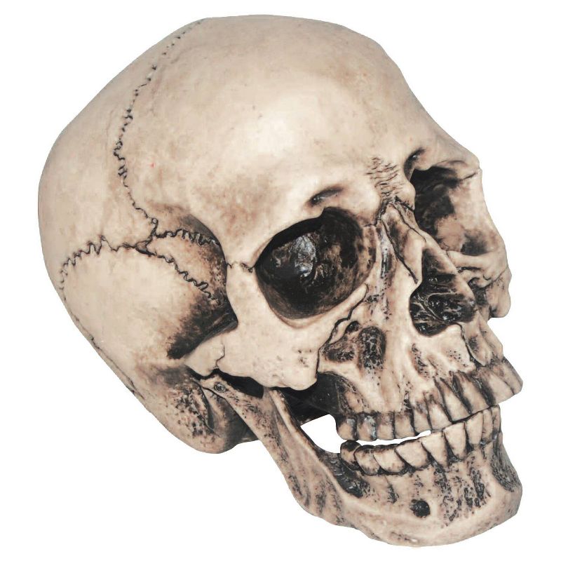 7 "Halloween Vinyl Skull