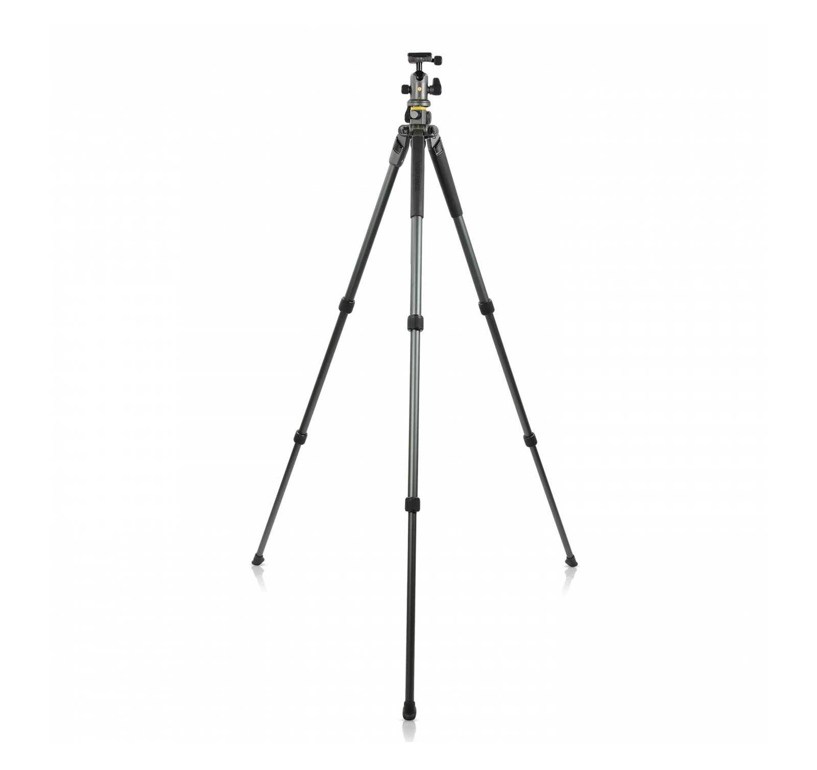 Vanguard Alta Pro 2+ 263AB 100 Aluminum Tripod with Alta BH100