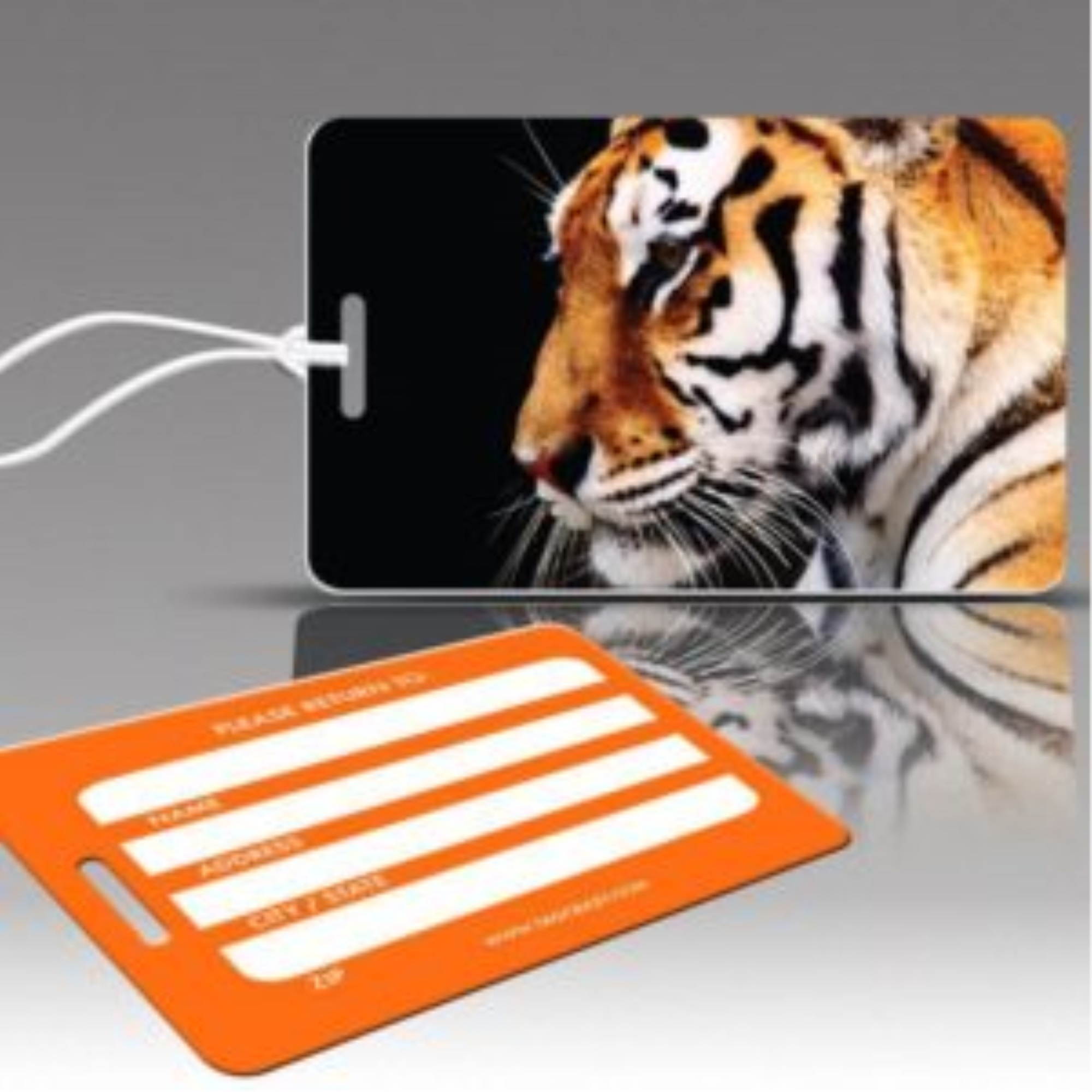 The Wildlife Collection - Tiger Profile