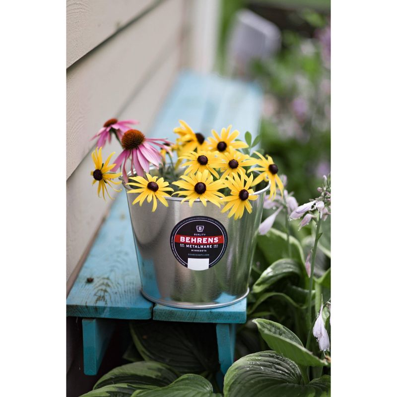 Behrens 5qt 3pk Galvanized Steel Pail Silver