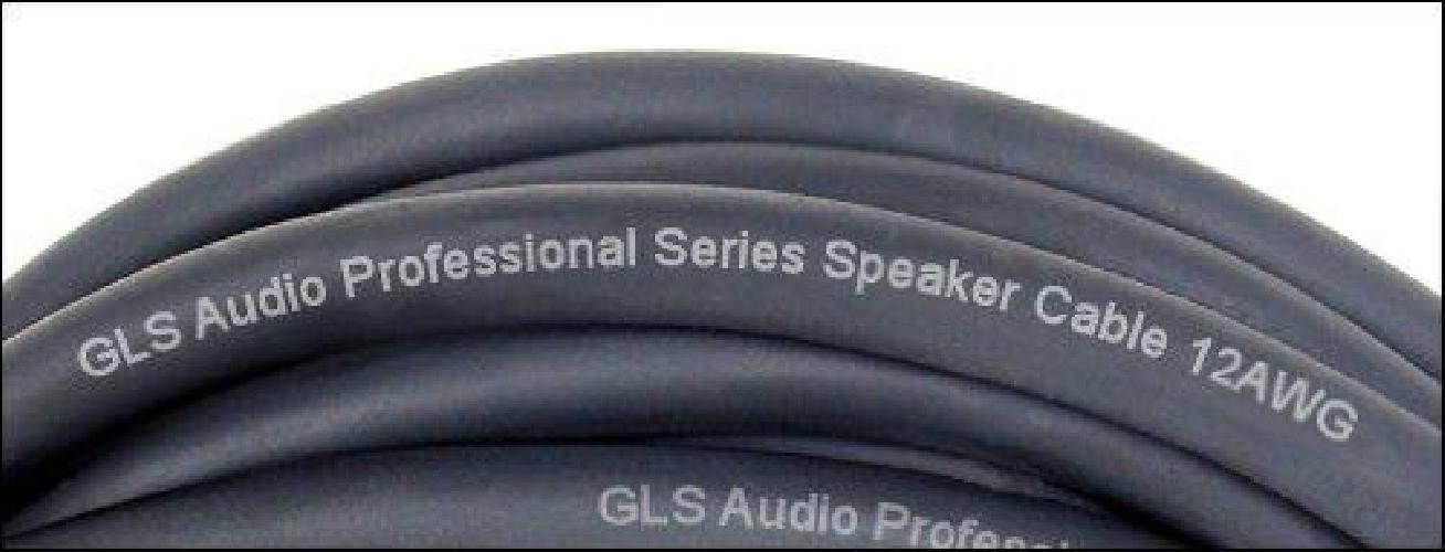 GLS Audio 3 feet Speaker Cable 12AWG Patch Cords - 3 ft Speakon to Speakon Professional Cables Black Neutrik NL4FX (NL4FC) 12 Gauge Wire - Pro 3' Speak-on Cord 12G - Single