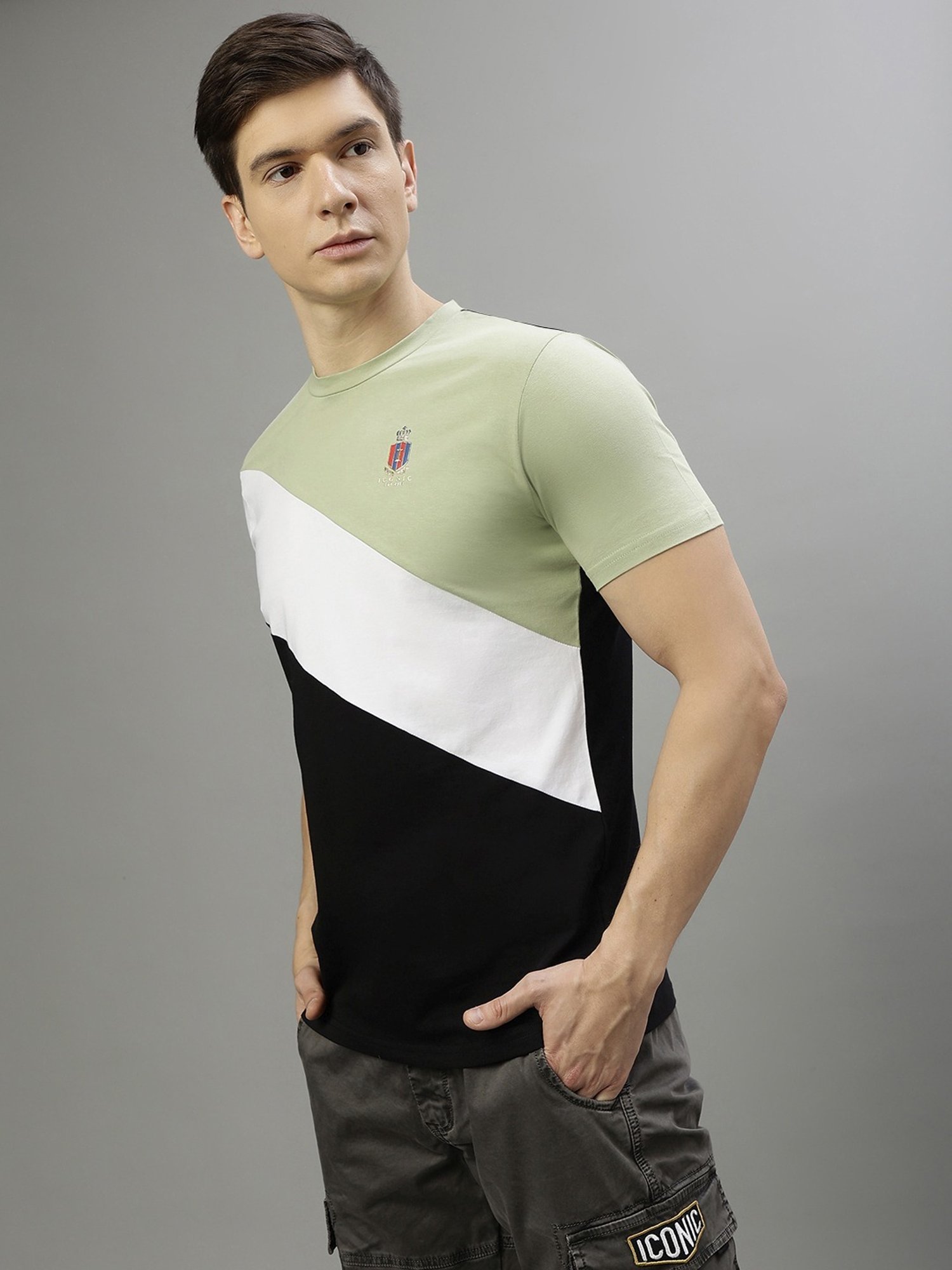 Iconic Men Colourblocked Regular Fit Cotton T-shirt