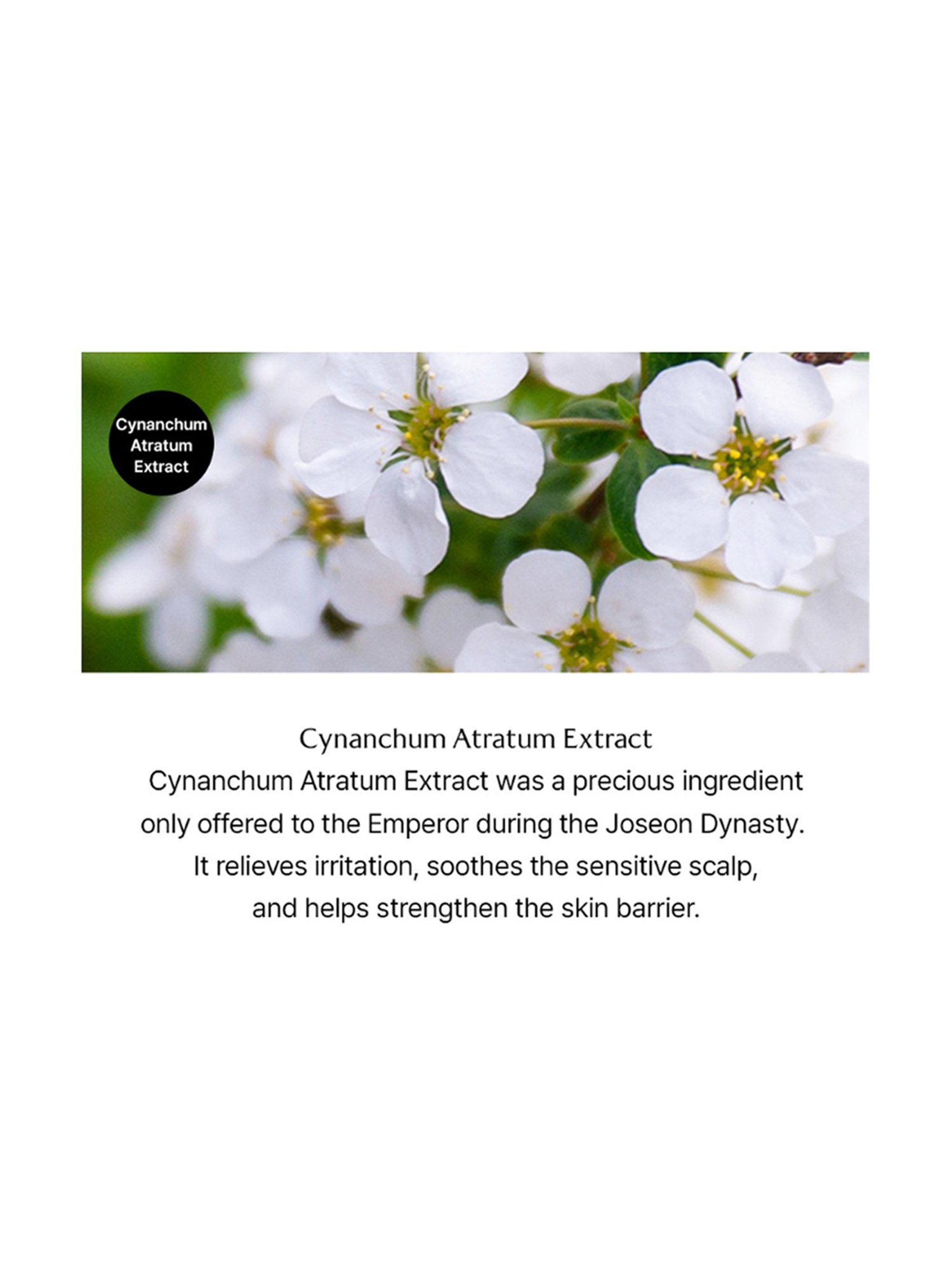 Lador A.C.V Vinegar Shampoo - 150 ml