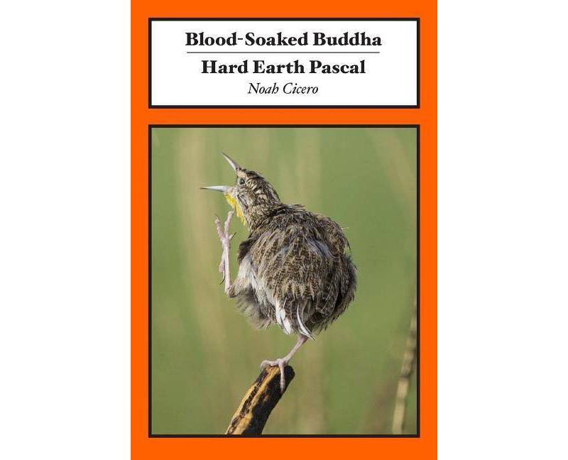 Blood-Soaked Buddha/Hard Earth Pascal - by  Noah Cicero (Paperback)