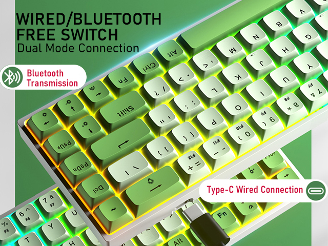 Aula F3068 68 Keys Bluetooth+Wired Dual Mode RGB Mechanical Keyboard Hot Swappable Switch Full keys Anti-ghosting Cool Backlight Effect for Pc Laptop Offical Computer