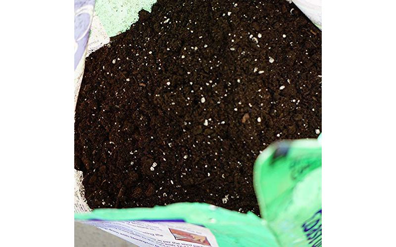 Coast of Maine Sprout Island Organic Seed Starter with All Natural Ingredients for Root Plant Cuttings and Seed Germination, 8 Quarts