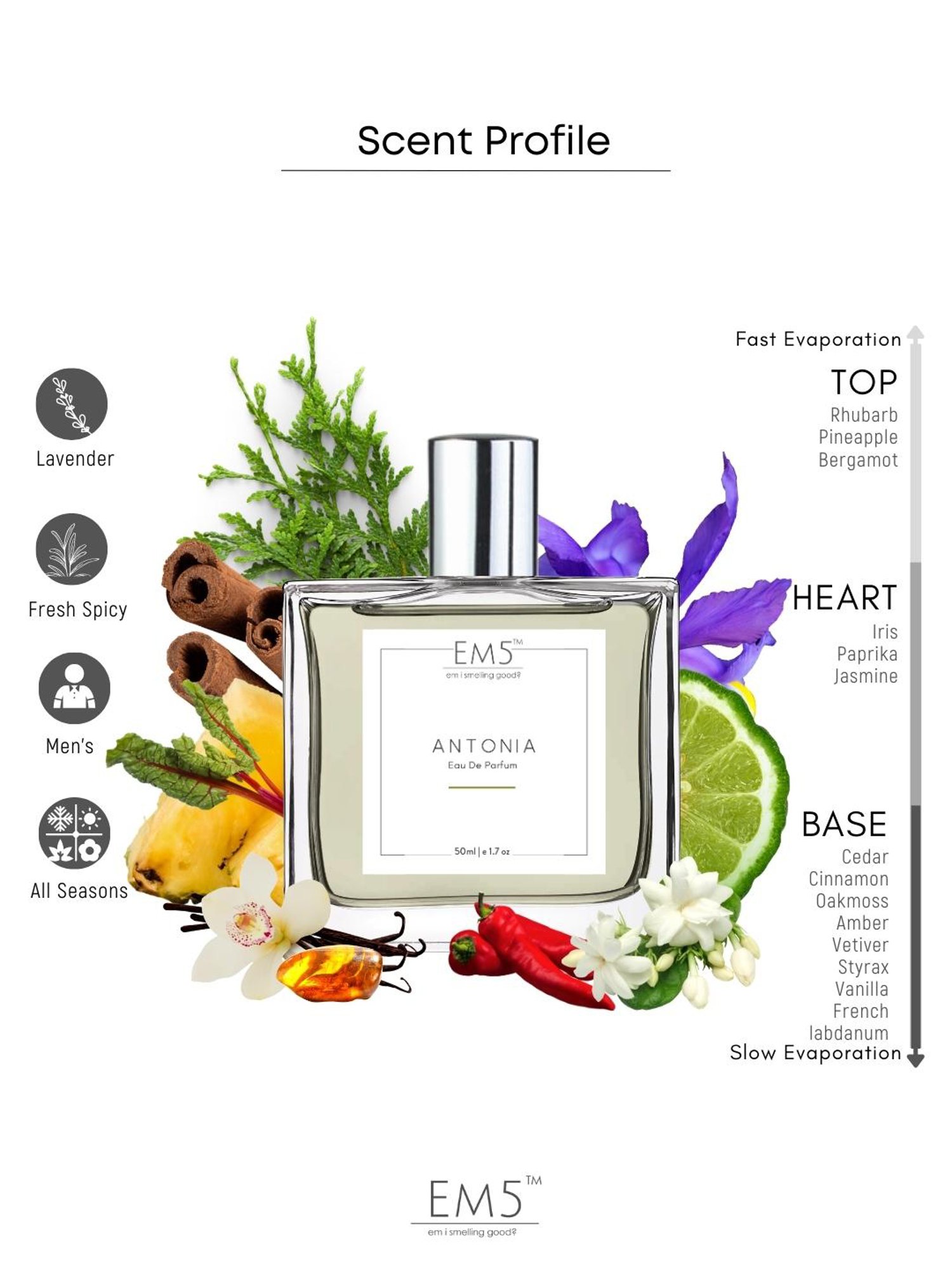 EM5 Antonia Eau de Parfum for Men - 50 ml