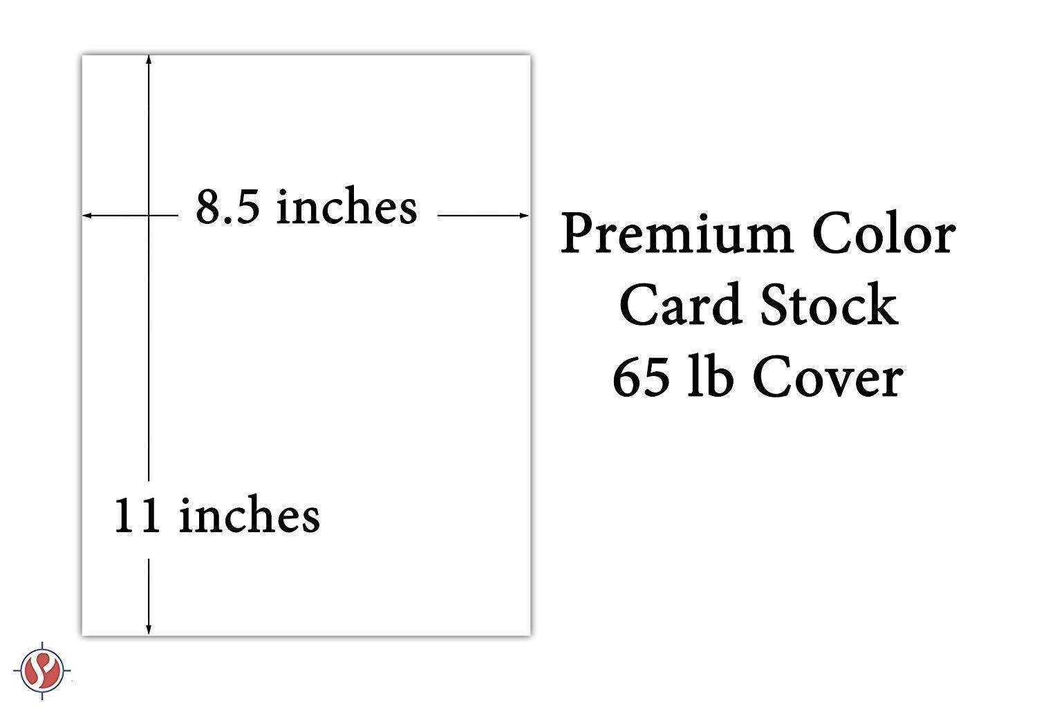 Neenah Astrobrights Premium Color Card Stock, Paper 65 Lb Cover/Cardstock - 250 Sheets Per Pack/1 Ream (8.5 x 11, Terrestrial Teal)