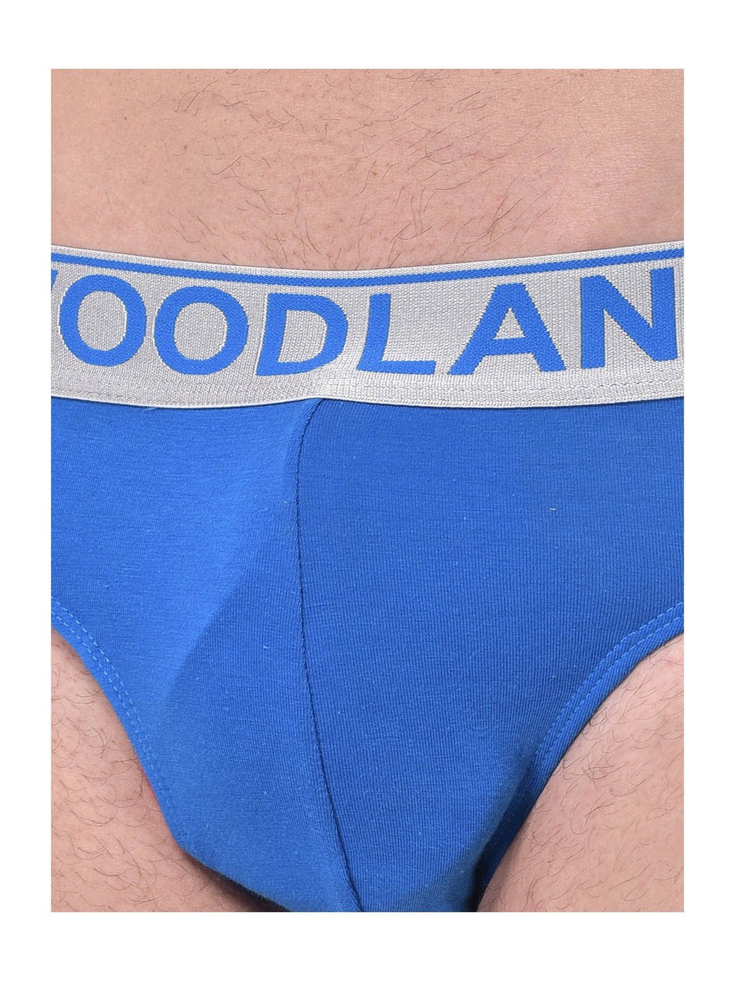 Woodland Aqua Blue Printed Briefs