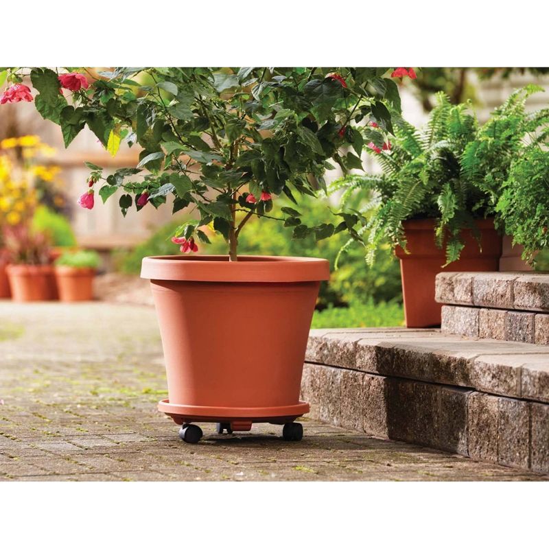 2pk 14" Plant Stand Caddy with Wheels and Saucer Tray Terracotta - Bloem