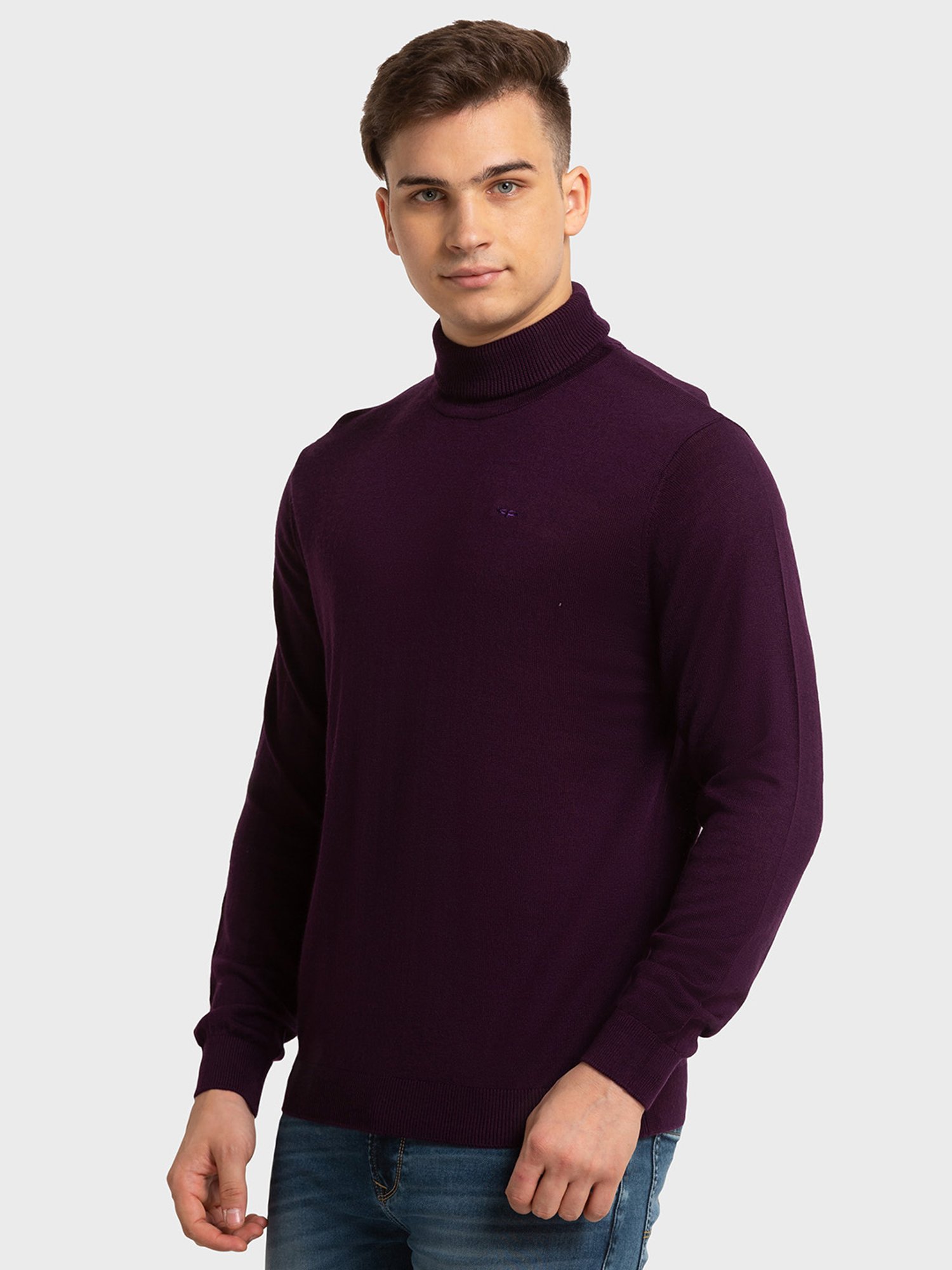 ColorPlus Purple Tailored Fit Sweaters