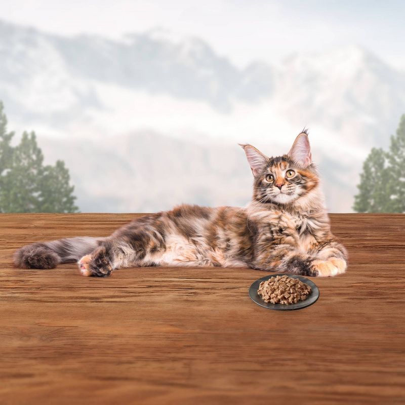 Fancy Feast Petites Braised Chicken Pate Wet Cat Food - 2.8oz