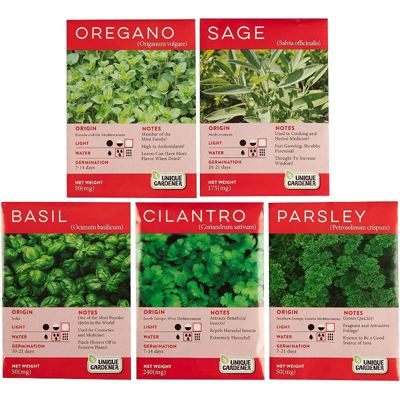 Toys By Nature Biosphere Terrariums - Culinary Herb Garden