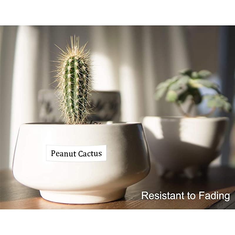 Compatible Label Tape Replacement Dymo D1 45013 S0720530 Label Tape for DYMO LabelManager 160 280 210D 360D 420P 220P 260P 450D Label Maker Black on White 12 Inch1mm x 23 Feet7m 6 Refills