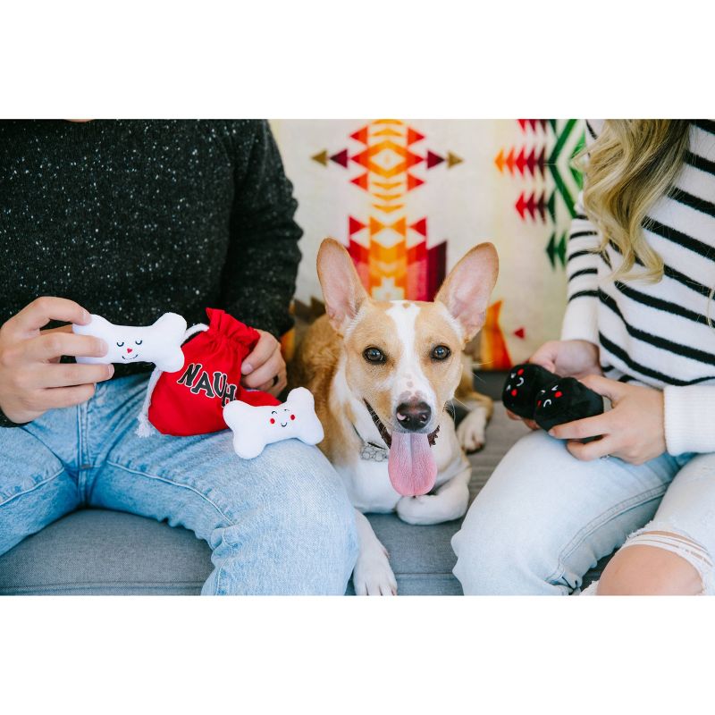 Pearhead Feliz Naughty and Nice Reversible Bag and Dog Toy Set