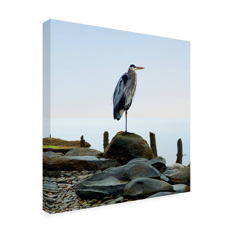 14" x 14" James McLoughlin 'Beachscape Heron I' Unframed Wall Canvas - Trademark Fine Art