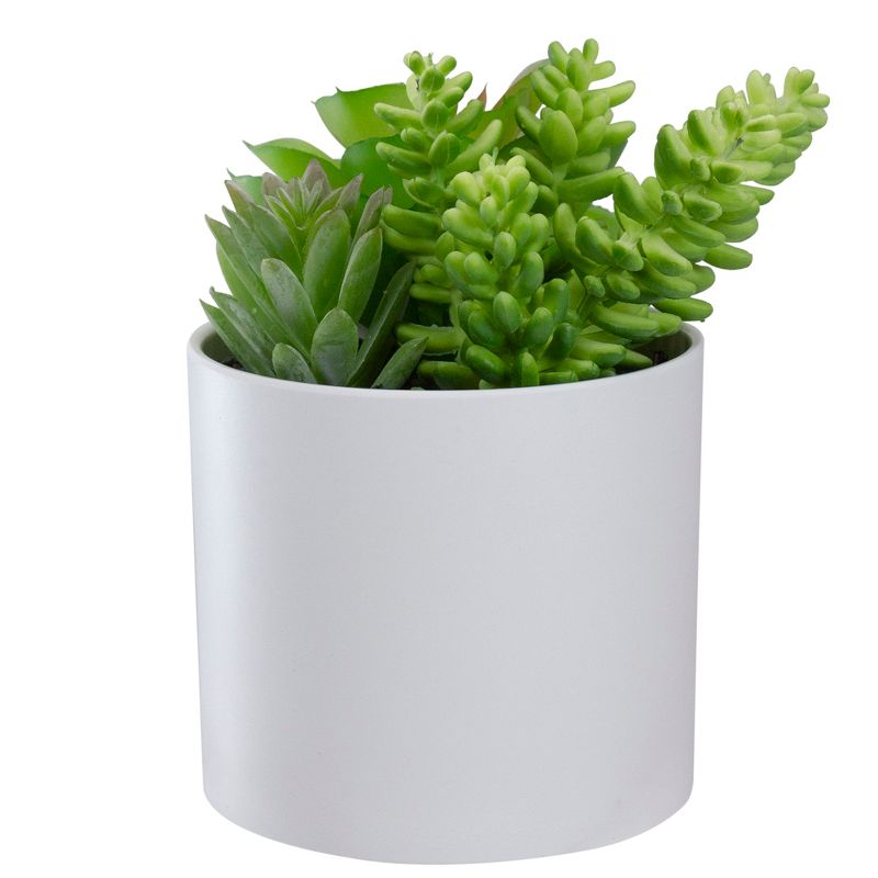 Northlight 5.5" Mixed Artificial Succulent Arrangement in a White Pot