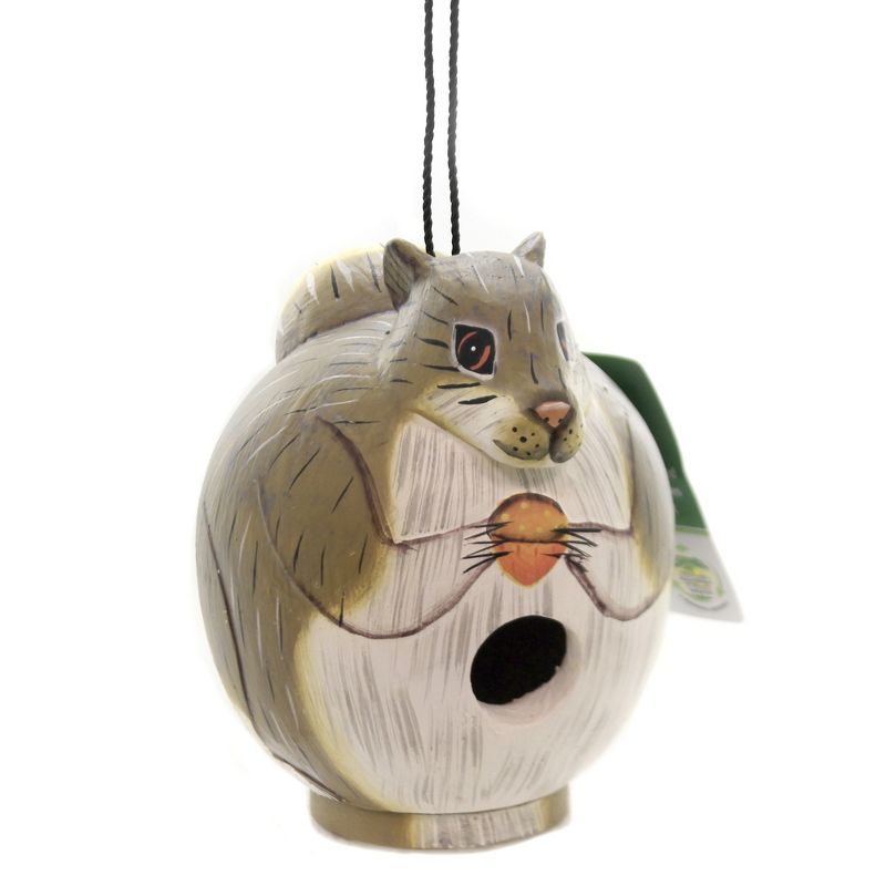 Home & Garden 7.0" Squirrel Gord-O Birdhouse Abesia Songbird Gold Crest Distributing  -  Bird And Insect Houses