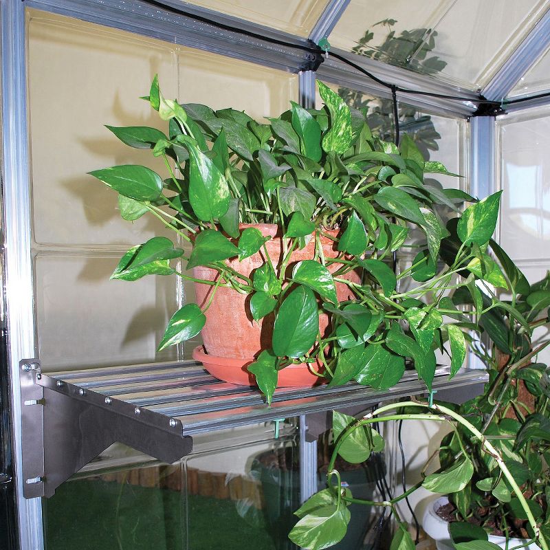 8' X 12'Snap And Grow Professional GreenHouse - Palram