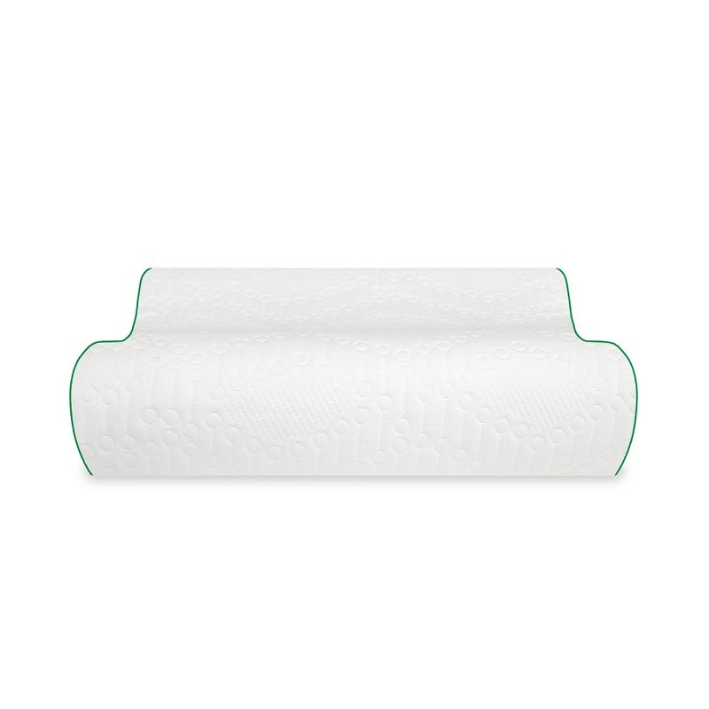 BioPEDIC Fresh and Clean Classic Contour Memory Foam Pillow with Antimicrobial Ultra-Fresh Treated Fabric