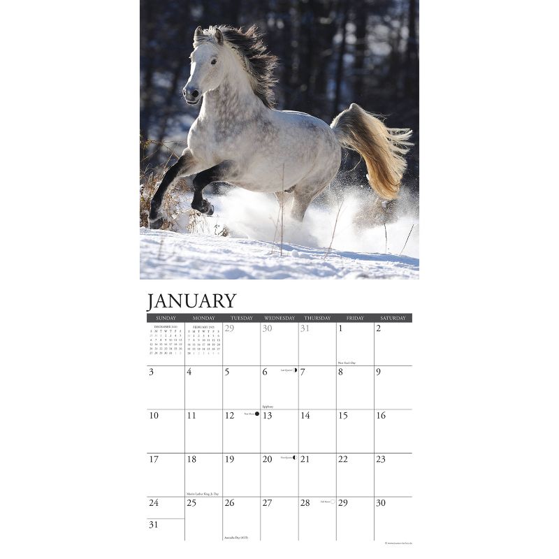 2021 Monthly Wall Calendar Just Horses - Willow Creek Press