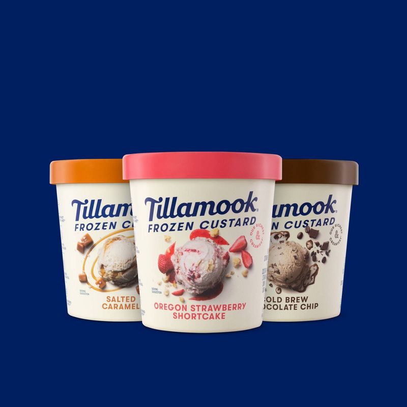 Tillamook Cold Brew Chocolate Chip Frozen Custard - 15oz