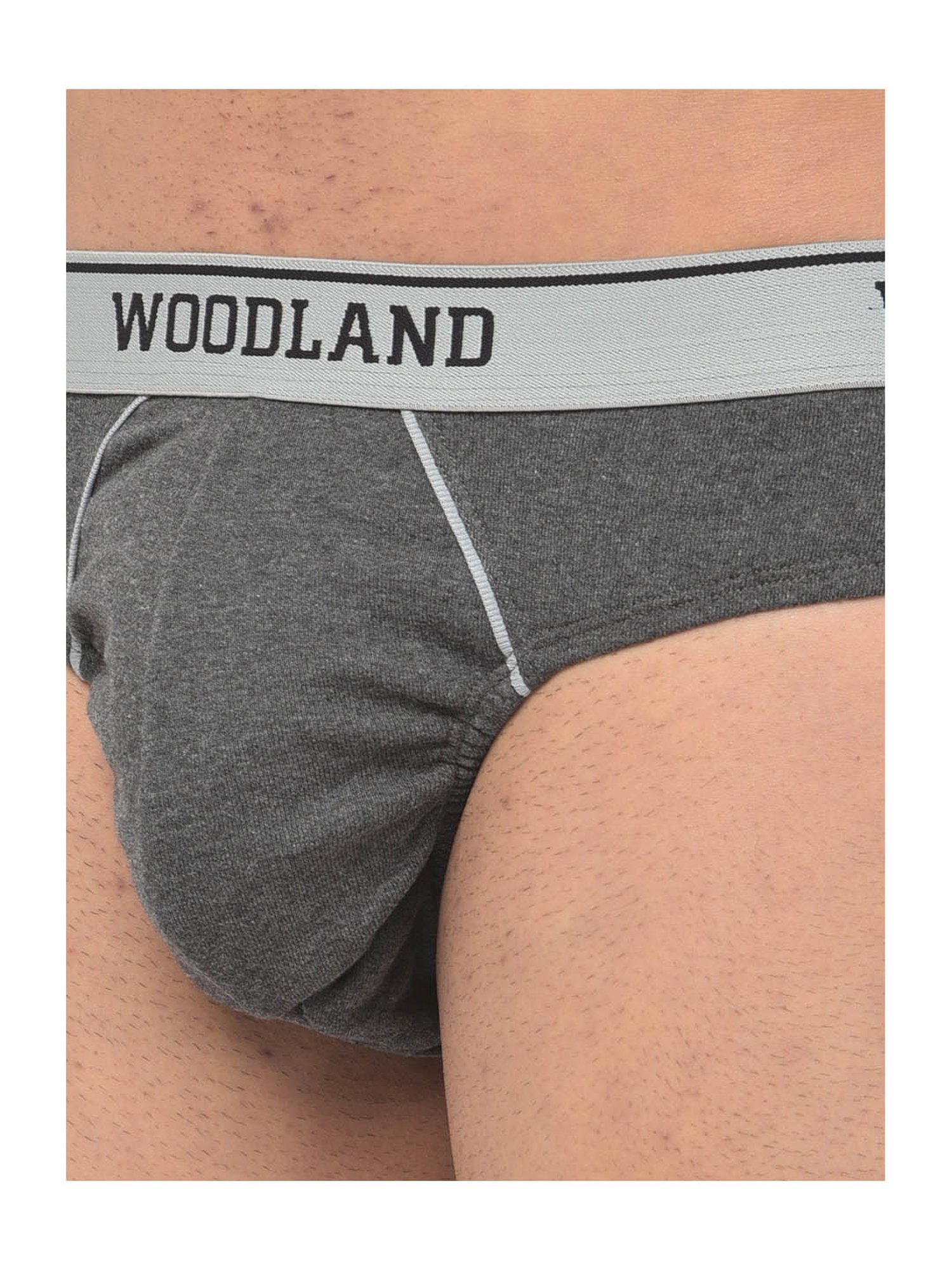 Woodland Dark Grey Solid Briefs