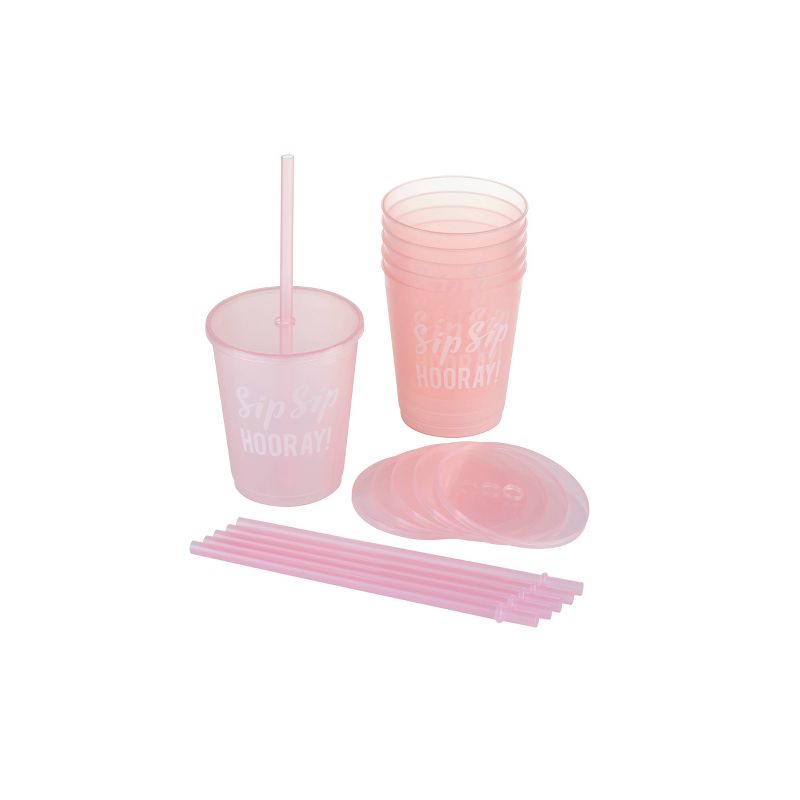Parker Lane 6pc Frosted Party Cups with PVC Bag "Sip Sip Hooray" Pink
