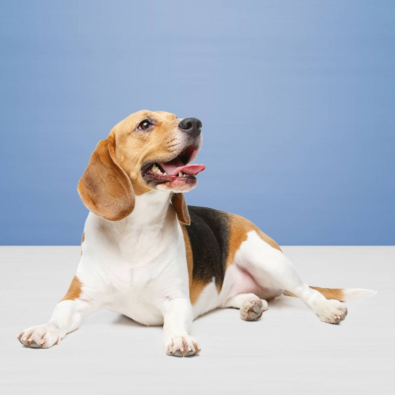 Blue BuffaloEgg Cheese/Apple & Yogurt, Pumpkin & Cinnamon Dog Treat Variety Pack - 16oz