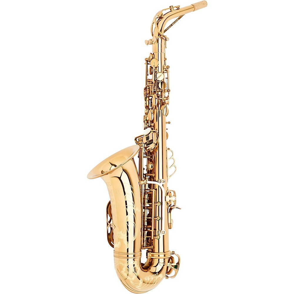 Theo Wanne SHAKTI Professional Alto Saxophone Dark Gold Lacquer