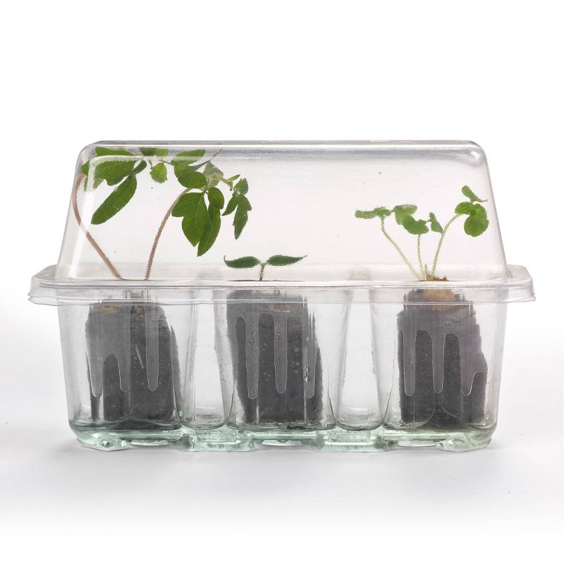 Pizza Garden Kit - Creativity for Kids